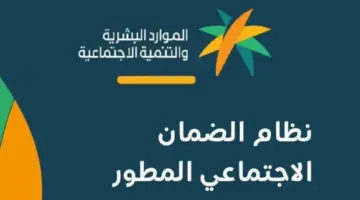 كم رقم الضمان الاجتماعي المطور المجاني الموحد؟ الموارد البشرية تُجيب