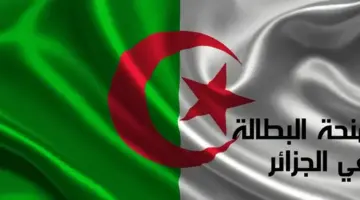 كيف يمكن حجز موعد المقابلة في منحة البطالة 2024 وما الشروط اللازمة للتسجيل؟
