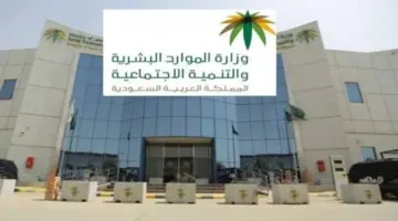 "الموارد البشرية" توضح قرار توطين المهن الهندسية وما أهم شروطه؟
