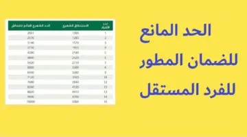 كم الحد المانع للضمان المطور للفرد المستقل 1445؟ .. وزارة الموارد البشرية توضح