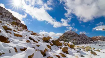 "العصيمي" يحذر من موجات باردة مقبلة هي الأشد تبدأ في هذا الموعد