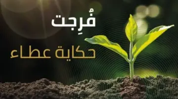 من هم المشمولين في مبادرة فرجت بمنصة إحسان 2024؟ منصة أبشر تجيب
