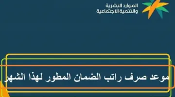 الضمان الاجتماعي متى ينزل لهذا الشهر؟ وزارة الموارد البشرية تُعلن موعد الإيداع النهائي