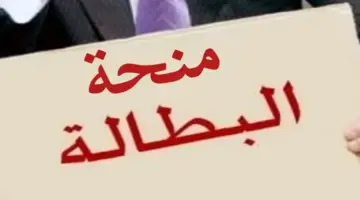 "من هُنا" .. خطوات التقديم على منحة البطالة في الجزائر عبر رابط رسمي مباشر 2024 وأهم الشروط 