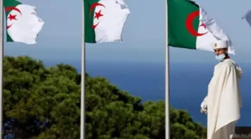 من هنا.. خطوات التسجيل في منحة الطفل في الجزائر 2024 وأهم الشروط
