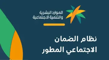 عاجل .. "الموارد البشرية" تحسم الجدل حول اخبار منح مستفيدي الضمان الاجتماعي المطور سيارات مدعومة