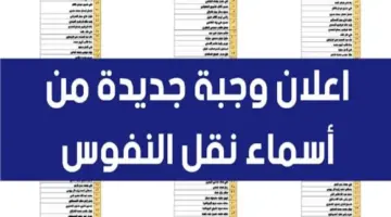 أسماء نقل النفوس في العراق 2024 الوجبة 121 و PDF 122 مديرية الأحوال المدنية والجوازات والإقامة