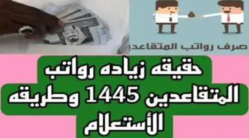 بمناسبة يوم التأسيس .. صدور أمر ملكي زيادة الرواتب في السعودية لهذا الشهر .. ما الحقيقة؟
