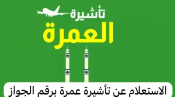 ما هي خطوات الاستعلام عن تأشيرة عمرة برقم الجواز؟