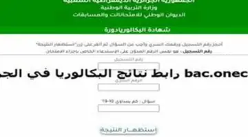 استعلم الآن..نتيجة بكالوريا احرار الجزائر 2024