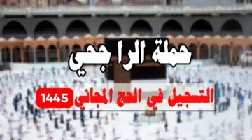 إطلاق رقم حملة الراجحي للحج المجاني للتسجيل و الاستفسار وتقديم الشكاوي