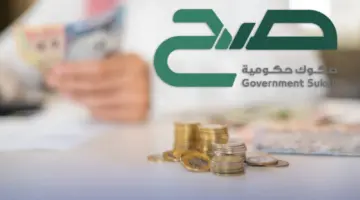 بعوائد مالية مجزية.. إطلاق منتج صح للصكوك الحكومية 2024 "مخصص للأفراد"