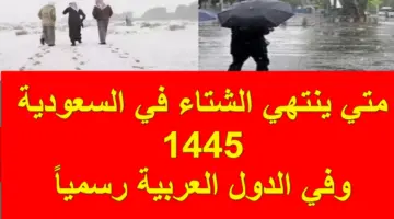 العد التنازلي.. متي ينتهي الشتاء في السعودية 1445 وموعد بداية الربيع وفقاً لبيان الأرصاد بالمملكة