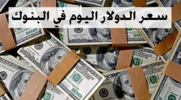 " استقرار ملحوظ" في سعر الدولار مقابل الجنيه المصري اليوم الأحد 11 فبراير 2024