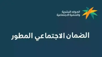ما هي خطوات استعلام عن الضمان المطور عن طريق النفاذ الوطني؟