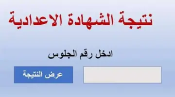 ظهرت الآن .. نتيجة الصف الثالث الاعدادي محافظة الأقصر برقم الجلوس للفصل الدراسي الأول 