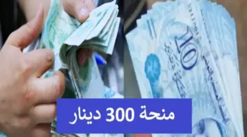"قدم الآن" .. رابط التسجيل في منحة 300 دينار في تونس 2024