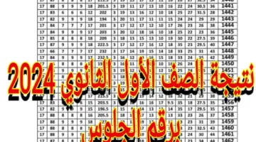 بالاسم فقط .. نتيجة الصف الأول الثانوي 2024 في جميع المحافظات