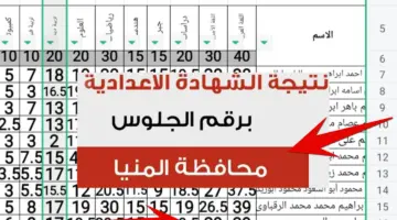"ظهرت الآن" رابط نتيجة الصف الثالث الاعدادي 2024 pdf بالاسم ورقم الجلوس فقط