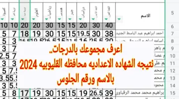 استعلم نتيجتك الآن .. رابط نتيجه الشهاده الاعداديه محافظه القليوبيه 2024 بالاسم ورقم الجلوس