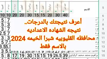 أعرف نتيجتك بالدرجات.. رابط نتيجه الشهاده الاعداديه محافظه القليوبيه شبرا الخيمه 2024 بالاسم فقط