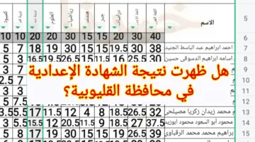 هل ظهرت نتيجة الشهادة الإعدادية في محافظة القليوبية اليوم؟.. مديرية التربية والتعليم تُجيب
