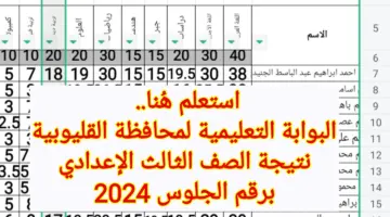 استعلم هُنا.. البوابة التعليمية لمحافظة القليوبية نتيجة الصف الثالث الإعدادي برقم الجلوس 2024