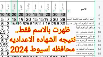 ظهرت بالاسم فقط.. رابط نتيجه الشهاده الاعداديه محافظه اسيوط 2024