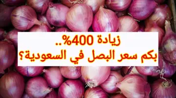 زيادة 400%.. بكم سعر البصل في السعودية اليوم وأسباب ارتفاعه؟.. الغرف التجارية توضح