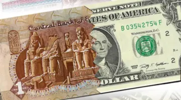 بكم سعر الدولار اليوم الأحد 2024/2/18 مقابل الجنيه المصري في البنوك؟