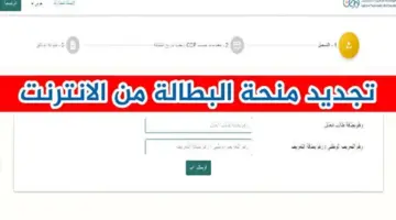 لينــك موقع تجديد منحة البطالة 2024 والشروط المطلوبة للتجديد