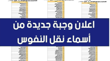 كيفية الإطلاع على اسماء نقل النفوس في العراق 2024 .. رابط الاستعلام