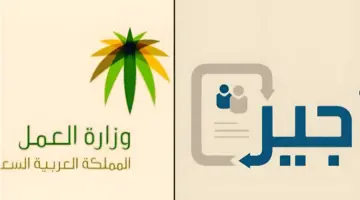 ما هي شروط إصدار تصريح العمل المؤقت للزائرين؟ وتعرف على الأنواع
