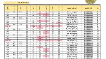 ظهرت الآن .. رابط نتائج السادس الابتدائي 2024 الدور التمهيدي pdf