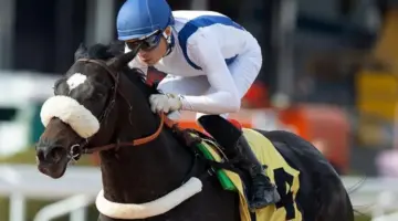 تحدي الخيالة الدولي.. اليوم افتتاح كأس السعودية 2024 لسباقات الخيل برعاية خادم الحرمين الشريفين
