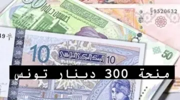 وزارة الشؤون الاجتماعية تعلن عن إتاحة منحة 300 دينار للعائلات المعوزة 2024 عبر هذا الرابط