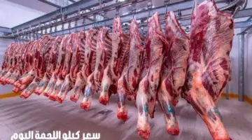 ما هو سعر كيلو اللحمة في مصر اليوم وماذا سيحدث في رمضان؟