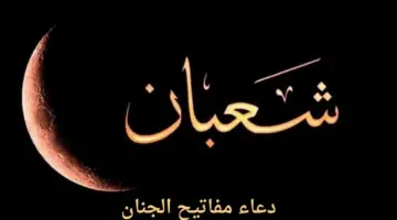 دعاء شهر شعبان مفاتيح الجنان.. "اللهم ياكاشف الهم ومفرج الكرب العظيم"