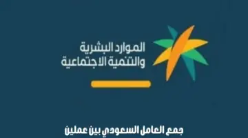 هل يمكن أن يجمع العامل السعودي بين عملين؟ "وزارة الموارد البشرية" تجيب