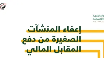 ما بين قرار التمديد او الانتهاء .. الموارد البشرية تكشف اخر اخبار الاعفاء من المقابل المالي للمنشات الصغيرة 2024
