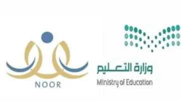 التعليم تُعلن موعد تسجيل رياض الأطفال 1446 والصف الأول الابتدائي في المدارس الحكومية والأهلية