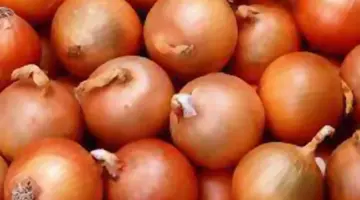 أسباب ارتفاع سعر البصل في السعودية بنسبة 40%