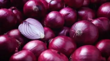 ما هي حقيقة ارتفاع أسعار البصل في السعودية؟.. " اتحاد الغرف" يوضح