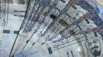 "وزارة التأمينات" توضح 4 حالات صرف الدفعة الواحدة وهذه هي الشروط