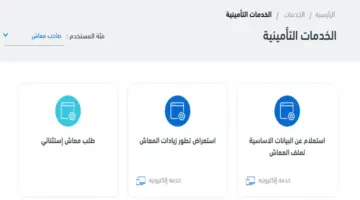 "بالخطوات" كيفية الاستعلام عن قيمة المعاش المستحق والزيادات المقررة والرقم التأميني