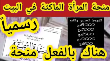 وكالة التشغيل توضح شروط منحة المرأة الماكثة في البيت 2024 بالجزائر
