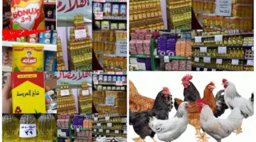 "بتخفيضات كبيرة" أماكن معارض أهلا رمضان في القليوبيه 2024 وأسعار السلع