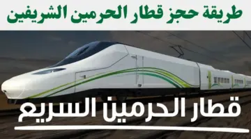" وزارة الحج والعمرة" تستعرض خطوات حجز تذكرة قطار الحرمين السريع من المدينة المنورة إلى مكة المكرمة