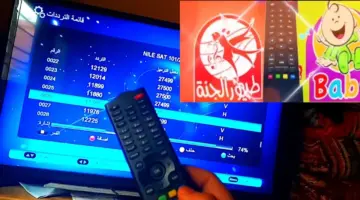 تردد قناة طيور الجنة الجديدة 2024 على القمر الصناعي نايل سات