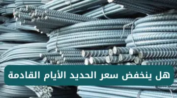 بعد الزيادة المضاعفة هل ينخفض سعر الحديد الأيام القادمة؟ رئيس شعبة مواد البناء يجيب